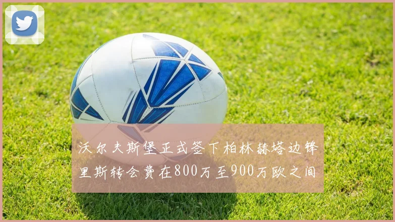 沃尔夫斯堡正式签下柏林赫塔边锋里斯转会费在800万至900万欧之间